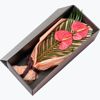 Gaveeske med Anthurium